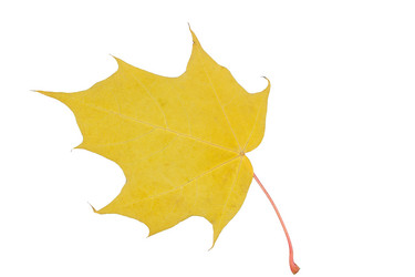 Similar image 21973681