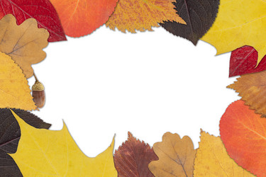 Similar image 21973682