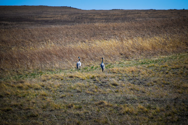 Similar image 21951614