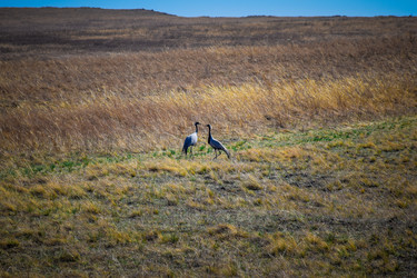 Similar image 21951615