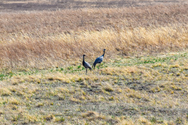 Similar image 21951616