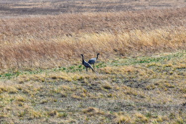 Similar image 21951617