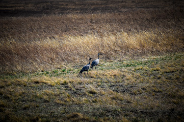 Similar image 21951618