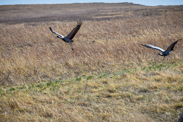 Similar image 21951619