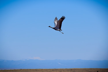 Similar image 21951620