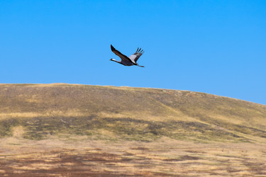 Similar image 21951622