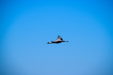 Similar image 21951623