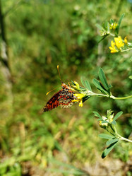 Similar image 21968351