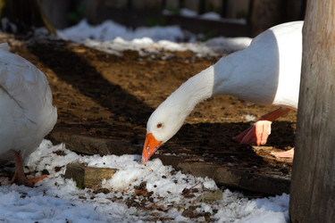 Similar image 21974417