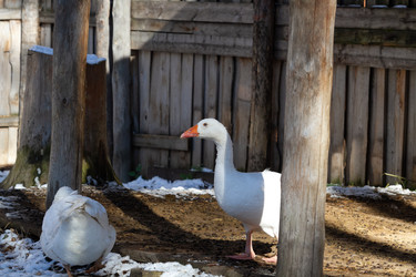 Similar image 21976000