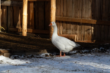 Similar image 21976008