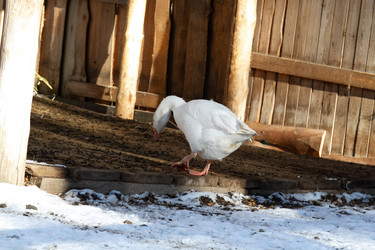 Similar image 21976022