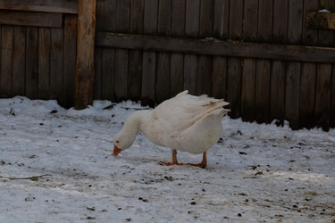 Similar image 21976025