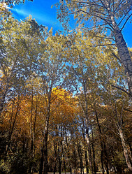 Similar image 21951461