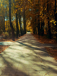 Similar image 21951463