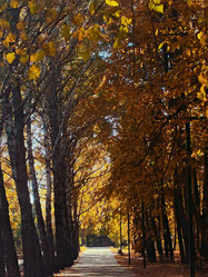 Similar image 21951464