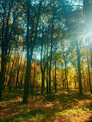 Similar image 21951466