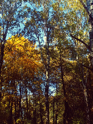 Similar image 21951467