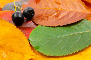 Similar image 21973689