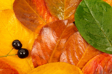 Similar image 21973690