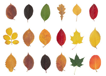 Similar image 21973691