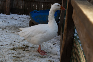 Similar image 21976258