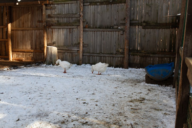 Similar image 21976262