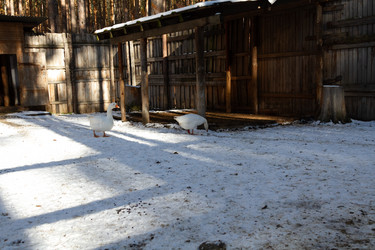 Similar image 21976264