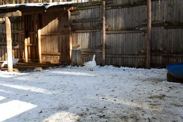 Similar image 21976275