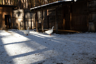 Similar image 21976277