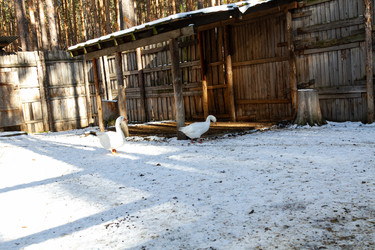 Similar image 21976278