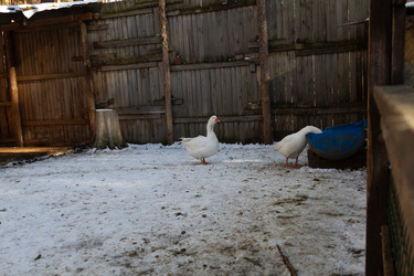 Similar image 21976286