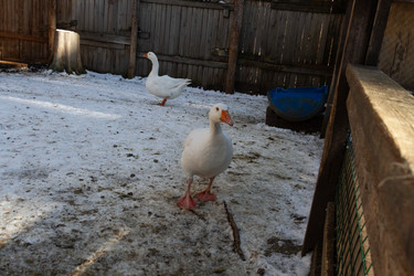 Similar image 21976292