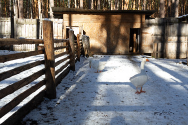 Similar image 21976556