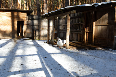 Similar image 21976562