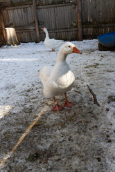 Similar image 21976563