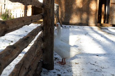 Similar image 21976570