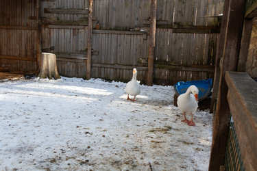 Similar image 21976575