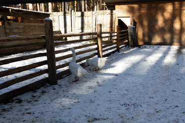 Similar image 21976577