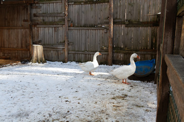 Similar image 21976580