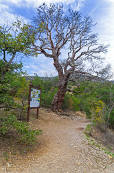 Similar image 21951482