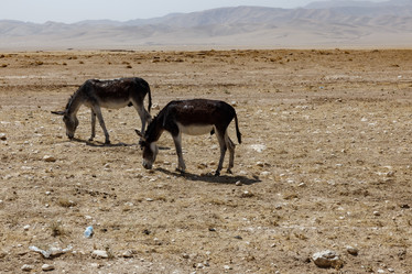 Similar image 21951807