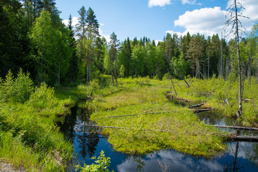 Similar image 21968566