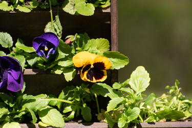 Similar image 21952141