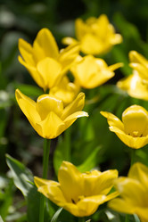 Similar image 21952143