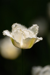 Similar image 21970603