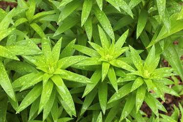 Similar image 21951483