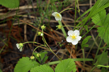 Similar image 21951487