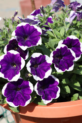 Similar image 21951488