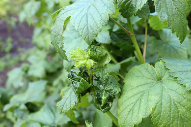 Similar image 21951489